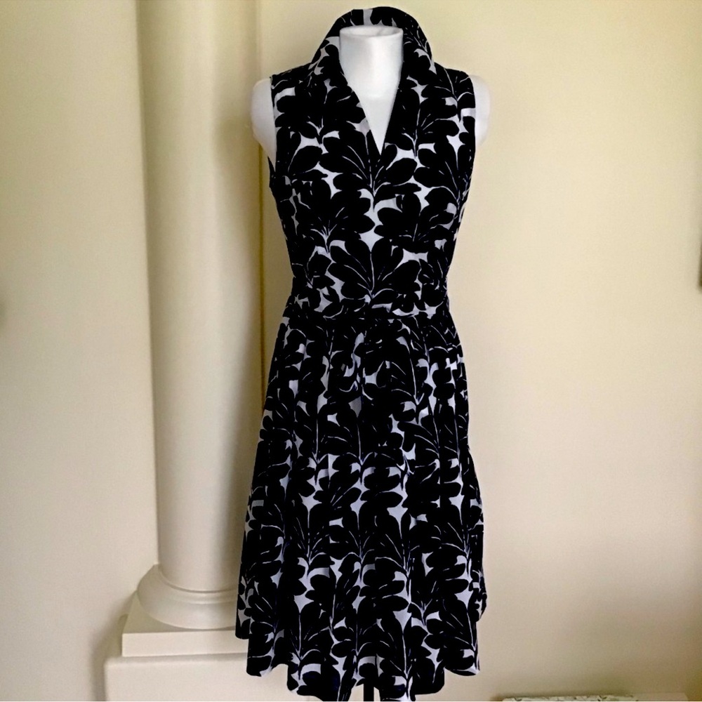 Navy & White Dress